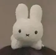 ぎゅうどんの画像