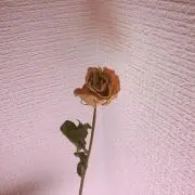 あべ