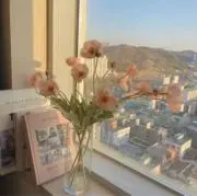 lilyの画像