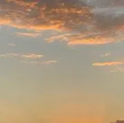 鰹節/3月末までの画像
