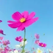 miyaの画像