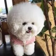 ジュリー☆