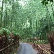 kiriの画像