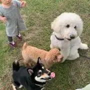 コスモクンちゃんの画像