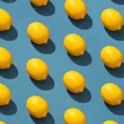 れもんの画像