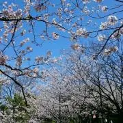 らん☆プロフご一読下さい