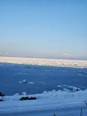 るりいろ