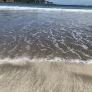 Rの画像