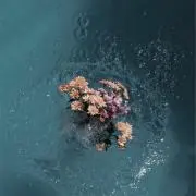 蕙の画像