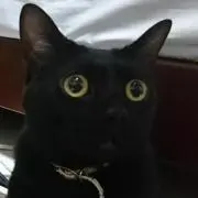 nasukaの画像