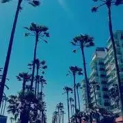 カオル☺︎☻の画像