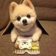 pupusann^_^の画像