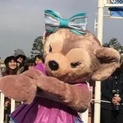 チェリーの画像