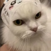 大福の画像