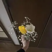 ききの画像