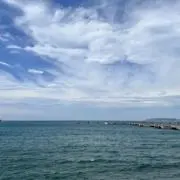 suiの画像