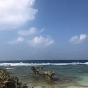 akの画像