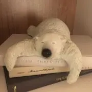 シロクマの画像