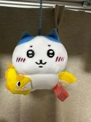 原田　龍一の画像
