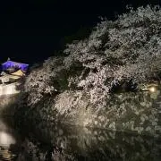 り