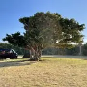 yarisanの画像