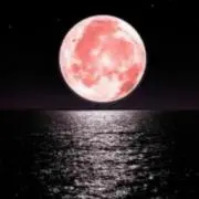 ゆえ ☽・:*の画像