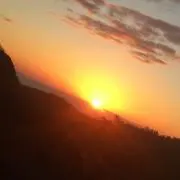 y.