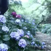 あさみの画像