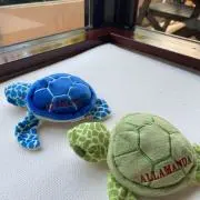 Viviの画像