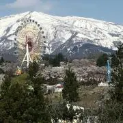 みーたん