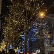 raraの画像