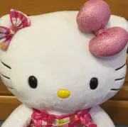 ゆかりの画像