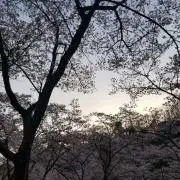ゆう