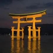 はたはた