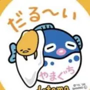 chippiの画像