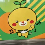 pamの画像