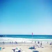 あおの画像
