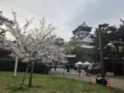 TAKAの画像