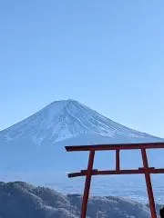 あんきもの画像