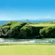 ryuryuの画像