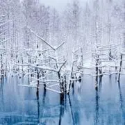 霜月の画像