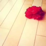 Hal*Hal