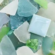 oliveの画像