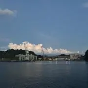 マロの画像