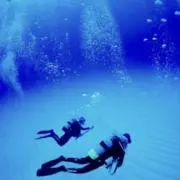 Ri-ko.の画像