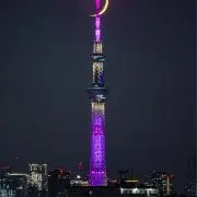 tako