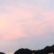 みー子の画像
