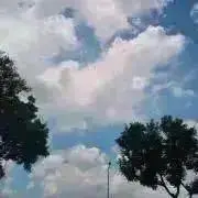ぎゅの画像