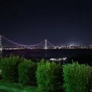 ぽろんの画像