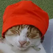 さりー